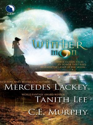 Cover of the book Winter Moon by Anne Kelleher