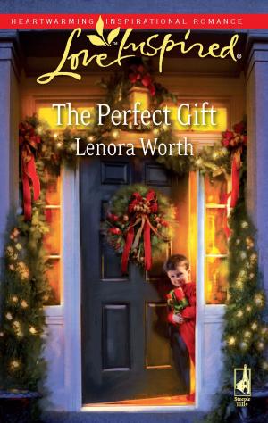 Cover of the book The Perfect Gift by Dana Mentink