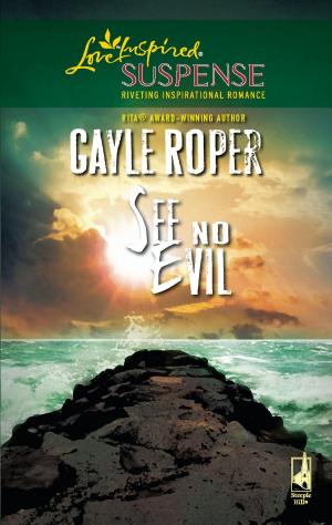 Cover of the book See No Evil by Claire May