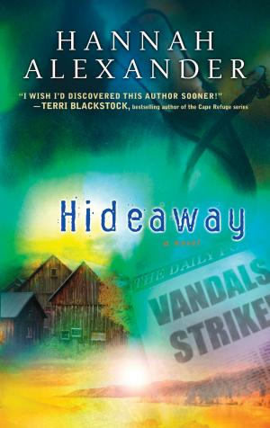Book cover of Hideaway
