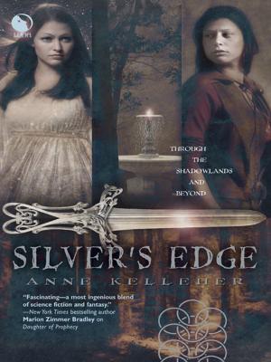 Cover of the book Silver's Edge by Niko Silvester