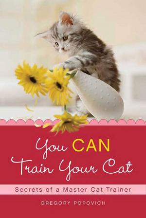Cover of the book You CAN Train Your Cat by Penny Valentine, Vicki Wickham