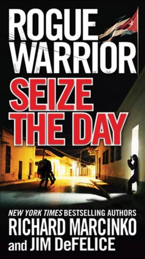 Cover of the book Rogue Warrior: Seize the Day by Brandon Sanderson