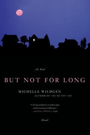 Cover of the book But Not for Long by Lydia Netzer