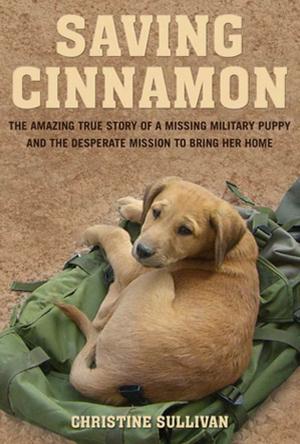 Cover of the book Saving Cinnamon by Robin Silverman