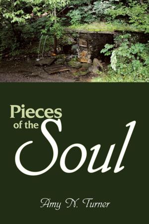 Cover of the book Pieces of the Soul by Mary Nyambura Muchiri Ph.D.
