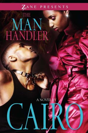Cover of the book The Man Handler by Stacy Campbell