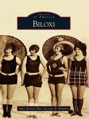 Cover of the book Biloxi by David Ira Kagan