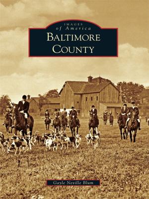 Cover of the book Baltimore County by Eleanor C. Mason, Patricia A. White