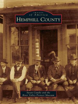 Cover of the book Hemphill County by Kenneth H. Beeson Jr.
