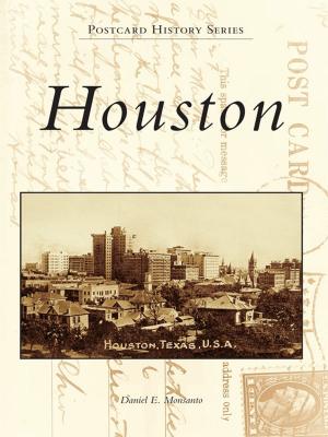 Cover of the book Houston by William Francis, Michael C. Hahn