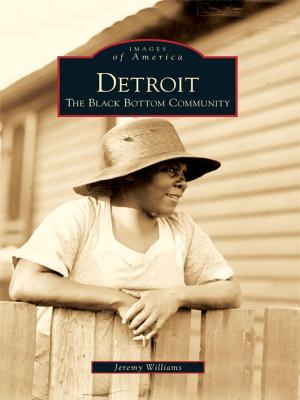Cover of the book Detroit by Joshua Simpkins