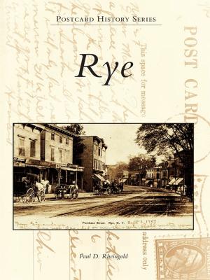 Cover of the book Rye by Steven W. Wilson