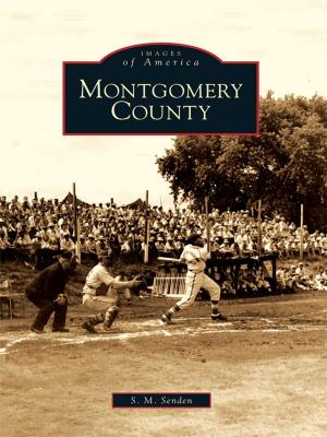 Cover of the book Montgomery County by Dyke Hendrickson
