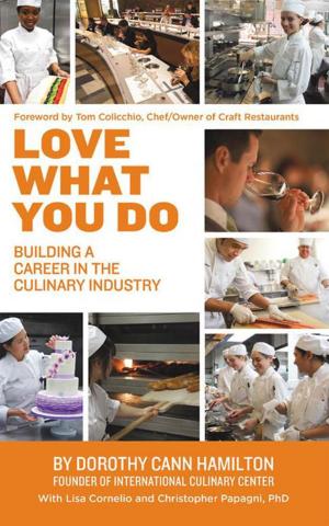 Cover of the book Love What You Do by Jeff Laffel, Michael Klepper