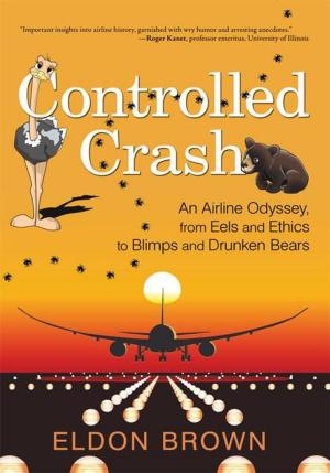 Cover of the book Controlled Crash by Elbert Lewis Jr.