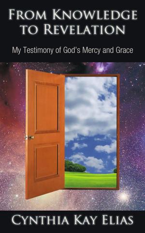 Cover of the book From Knowledge to Revelation by Warren Perry