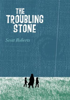Cover of the book The Troubling Stone by Robert MacNeill