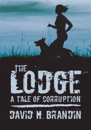 Cover of the book The Lodge by John W. Gorski