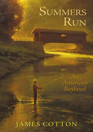 Cover of the book Summers Run by Aaron T. Brownell