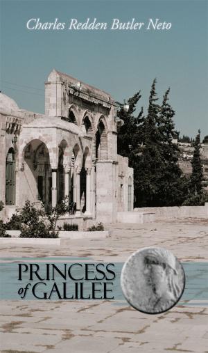 Cover of the book Princess of Galilee by Carl W. McClure