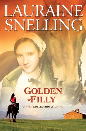 Book cover of Golden Filly Collection 2