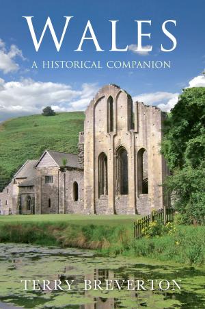 bigCover of the book Wales A Historical Companion by 