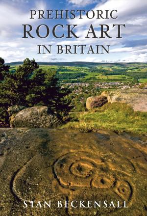 Book cover of Prehistoric Rock Art in Britain