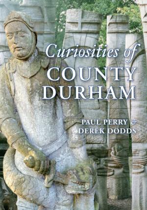 Book cover of Curiosities of County Durham