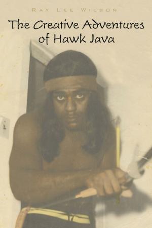 Book cover of The Creative Adventures of Hawk Java