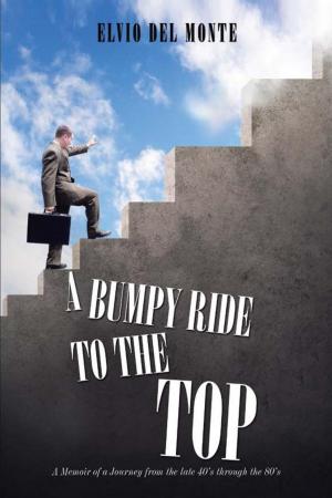 Cover of the book A Bumpy Ride to the Top by June Duran Stock