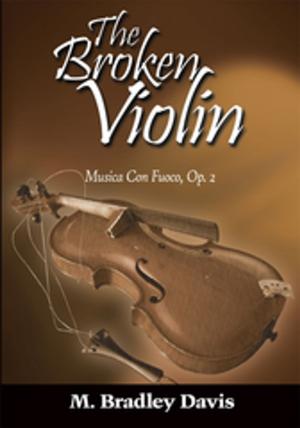 Book cover of The Broken Violin