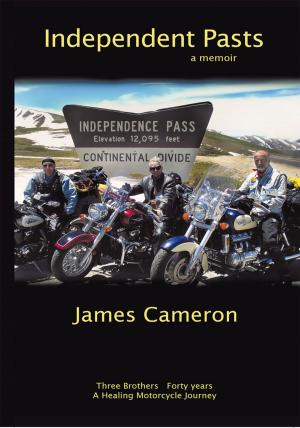 Cover of the book Independent Pasts by Jim Henry