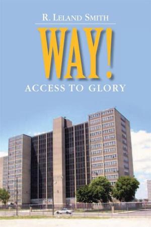 Cover of the book Way! by Sarah Grahn