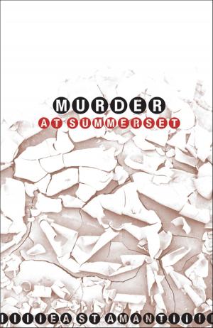 Cover of the book Murder at Summerset by Malcolm Hamer