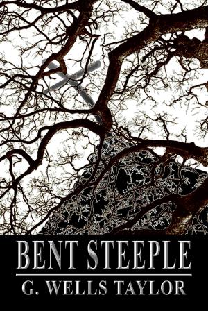 Book cover of Bent Steeple