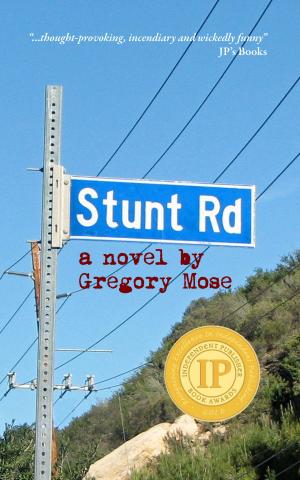 Cover of the book Stunt Road by Tasha Ivey