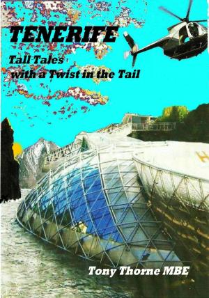 Book cover of Tenerife Tall Tales