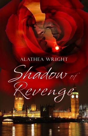 Cover of Shadow of Revenge