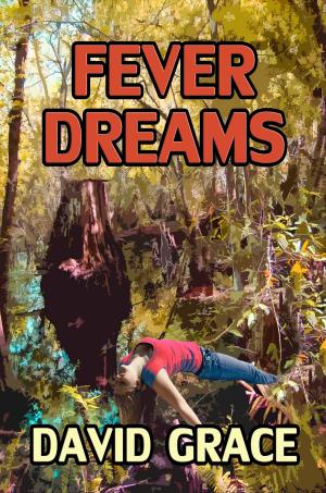 Cover of the book Fever Dreams by J.U. Giesy, Junius B. Smith