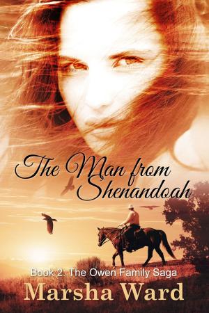 Cover of the book The Man from Shenandoah by Marsha Ward