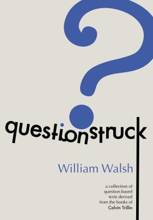 Cover of the book Questionstruck by Karla Oceanak
