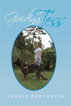 Book cover of Guiding Tess