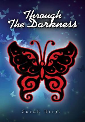 Cover of the book Through the Darkness by Joe Smiga