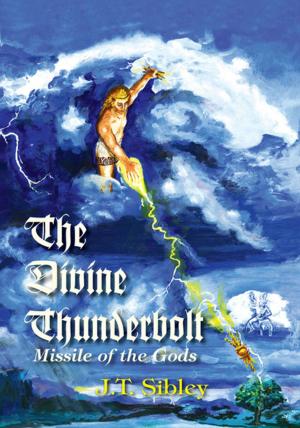 Cover of the book The Divine Thunderbolt by Carolyn Bradley