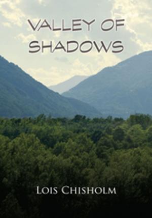 Cover of the book Valley of Shadows by Ahmed Fagih