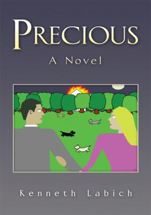 bigCover of the book Precious by 