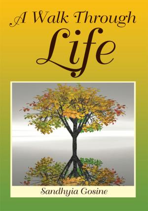 Cover of the book A Walk Through Life by Patricia M. Bloebaum