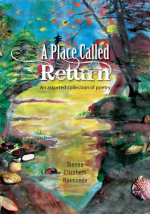 Cover of the book A Place Called Return by Victoria Kirby