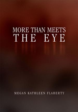Cover of the book More Than Meets the Eye by Barbara Broome Semans, Letitia Broome Schwartz